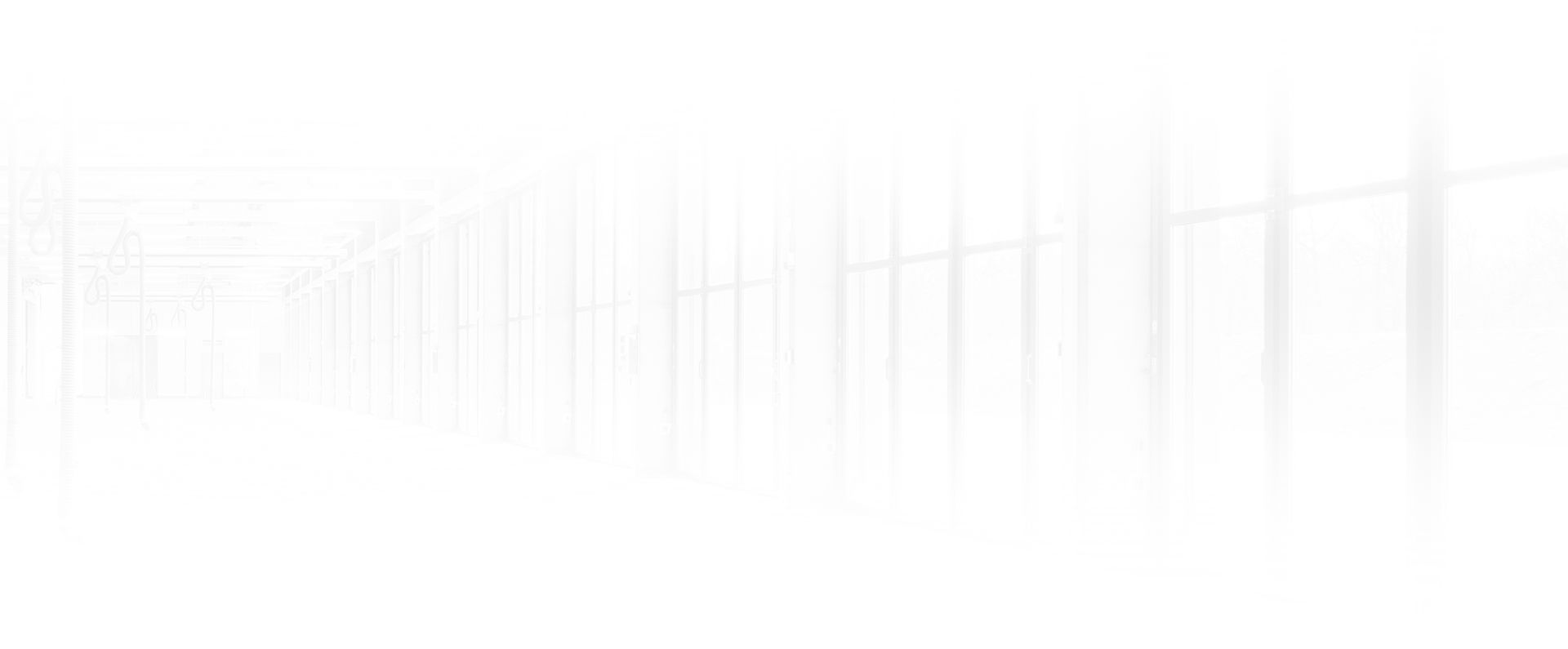 hild moser top background stil